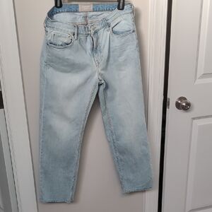 Everlane Cropped Shortie Jeans 28